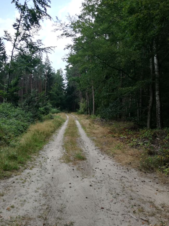 Camino de arena