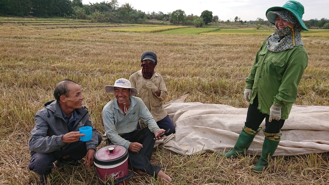 Buon Ma Thuot, mein Host-Vater stellt mir die Reisfeldarbeit/-er vorvor