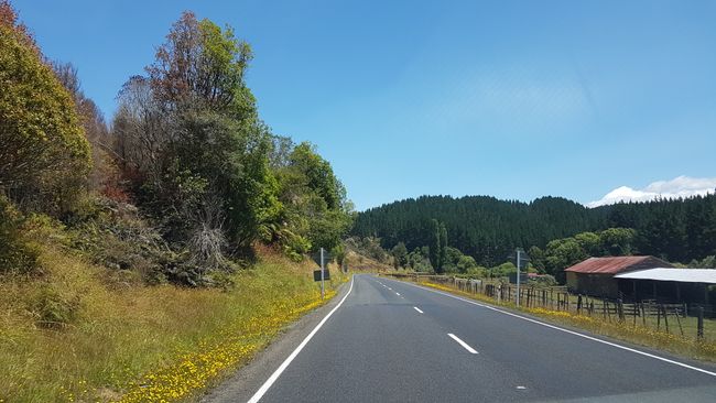 From Wellington to Mount Egmont