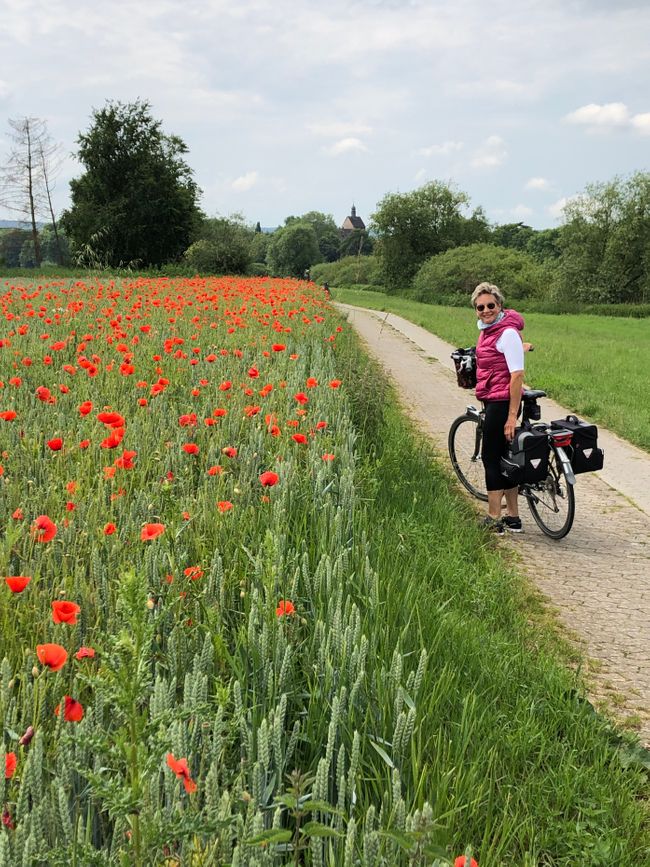 Weser Cycle Path (Jun. 2020)