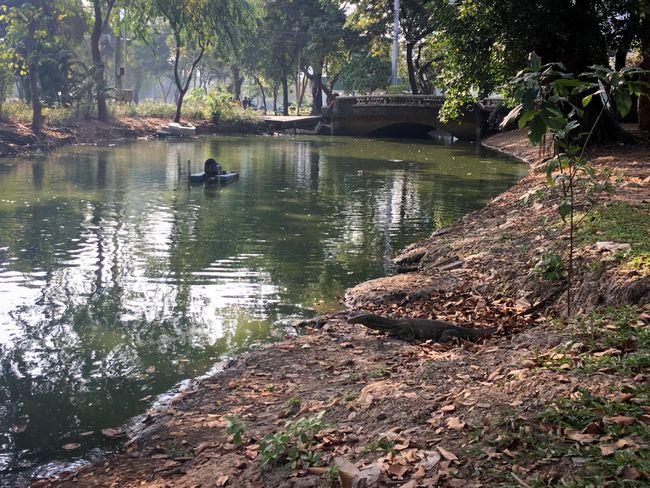 Bankok - Lumphini Park (picture puzzle😜)