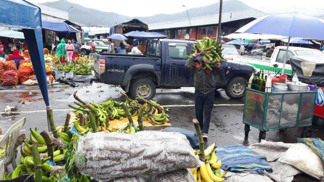 kochbananen und im sack vorne yucca