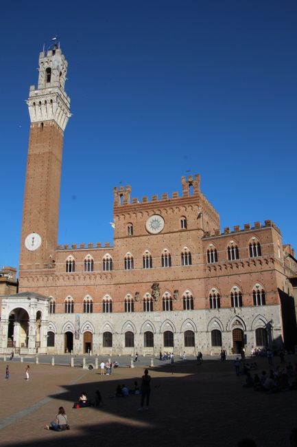 Rathaus Siena "Palazzo Pubblico"