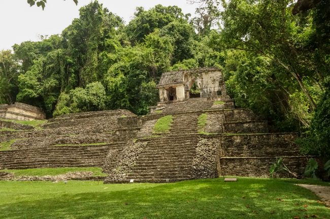 Die Ruinen von Palenque im mexikanischen Dschungel. 
