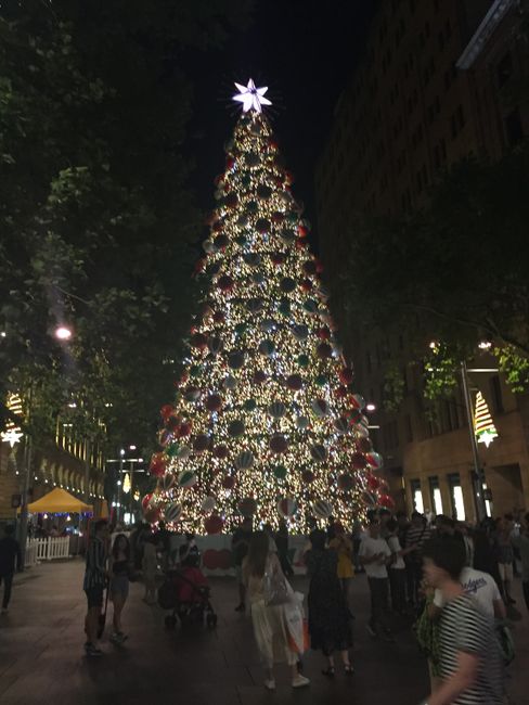 Chapter 4: Sydney, New Year's Eve, and Family Time