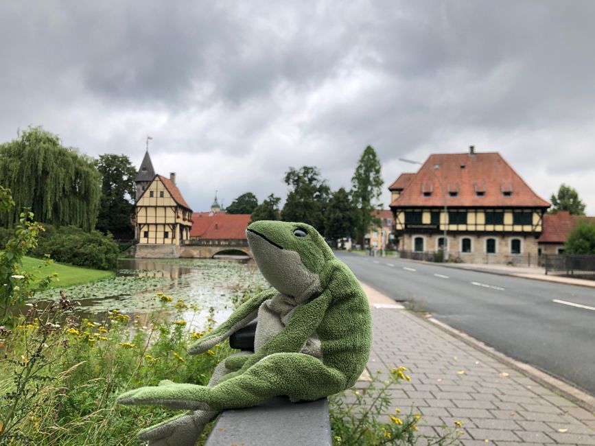 Once castle frog