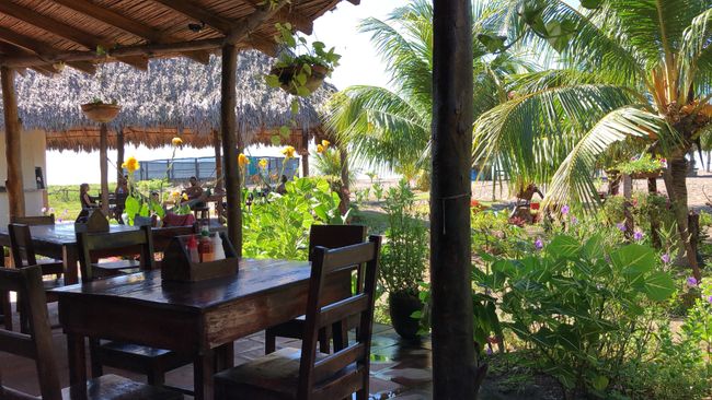 Surfing Turtle Lodge: View from the dining area towards the beach