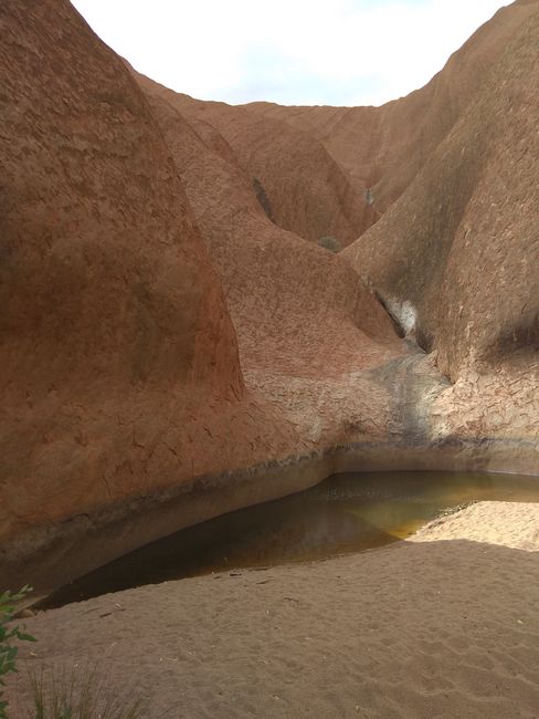 Wasserloch am Uluru davor