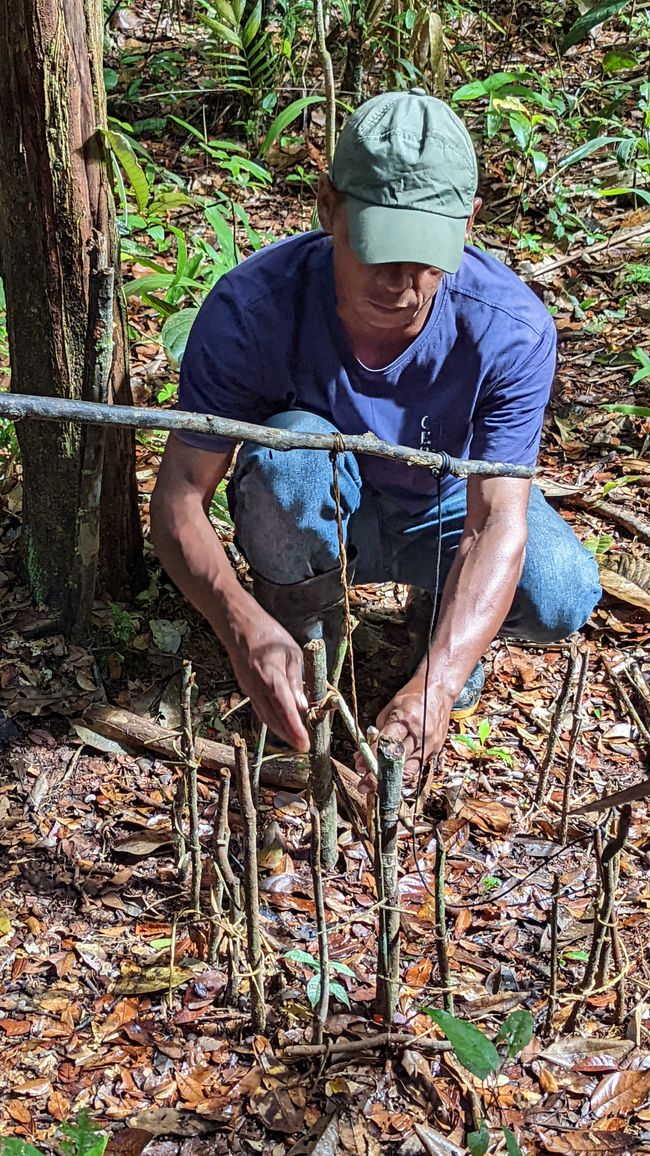 2. Día en la selva amazónica