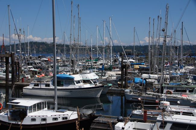 Vancouver Island: Von Port McNeill nach Port Alberni