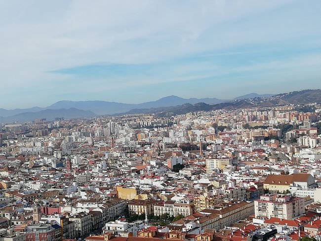 Andalusa 2019/2020, Malaga
