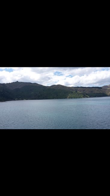 With the ferry from Picton (Southisland) to Wellington (Northisland)