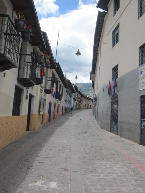 Quito na Jungle Adventures-ku vonakala