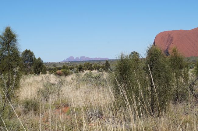 Same location, view of the Olgas
