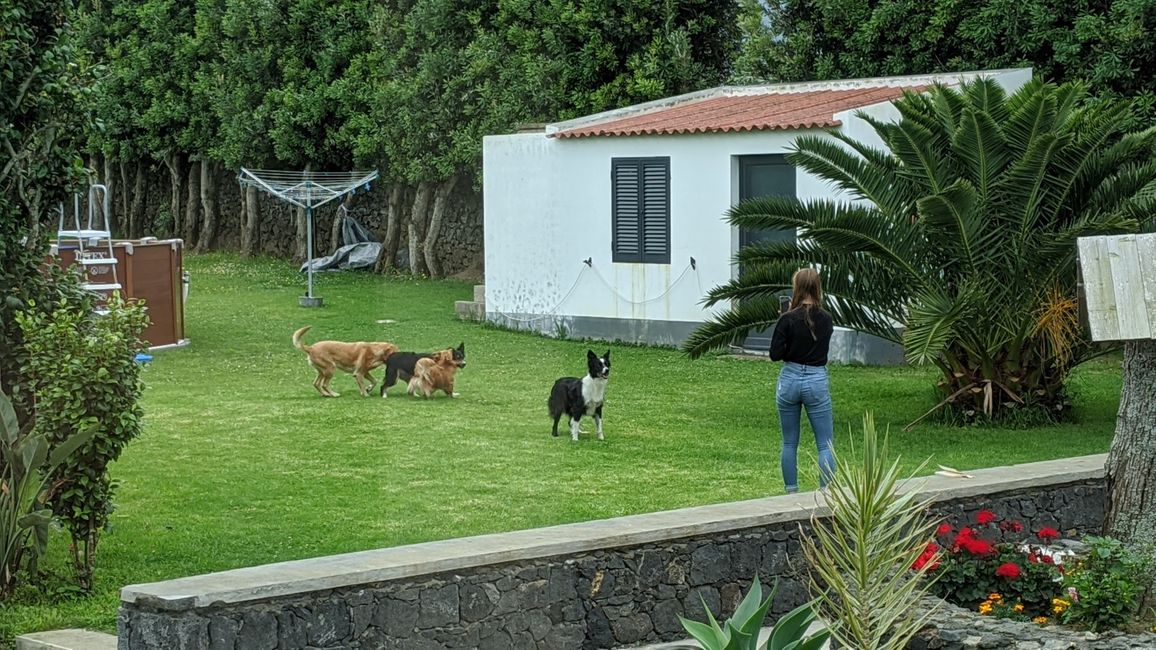 Tag 2: Quarantine at Quinta Velha