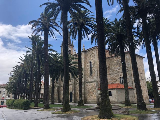Day 9 - From Pontevedra to Caldas de Reis