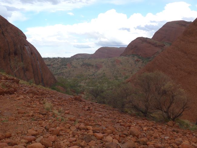 Ayers Rock (Uluru) - Regen in der Wüste (Australien Teil 35)
