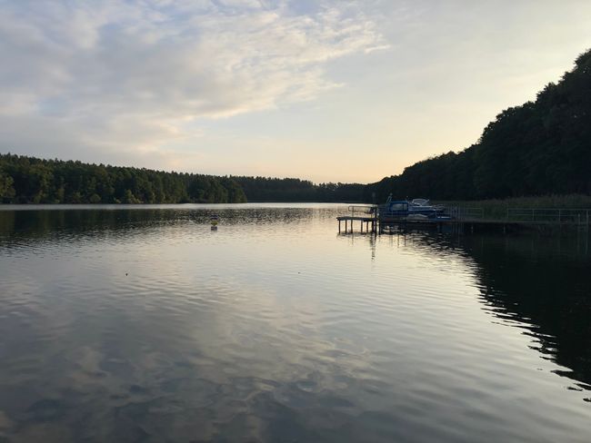 Mornings at Lake Ellbogen