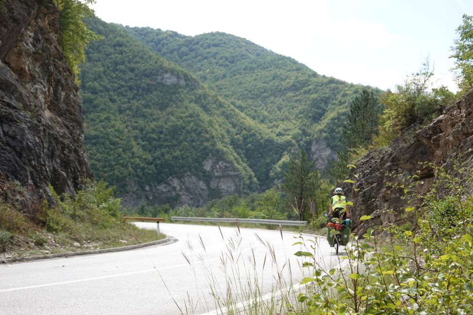 Day 47 to 50 Tara National Park and Drive to Bosnia and Herzegovina 🇧🇦