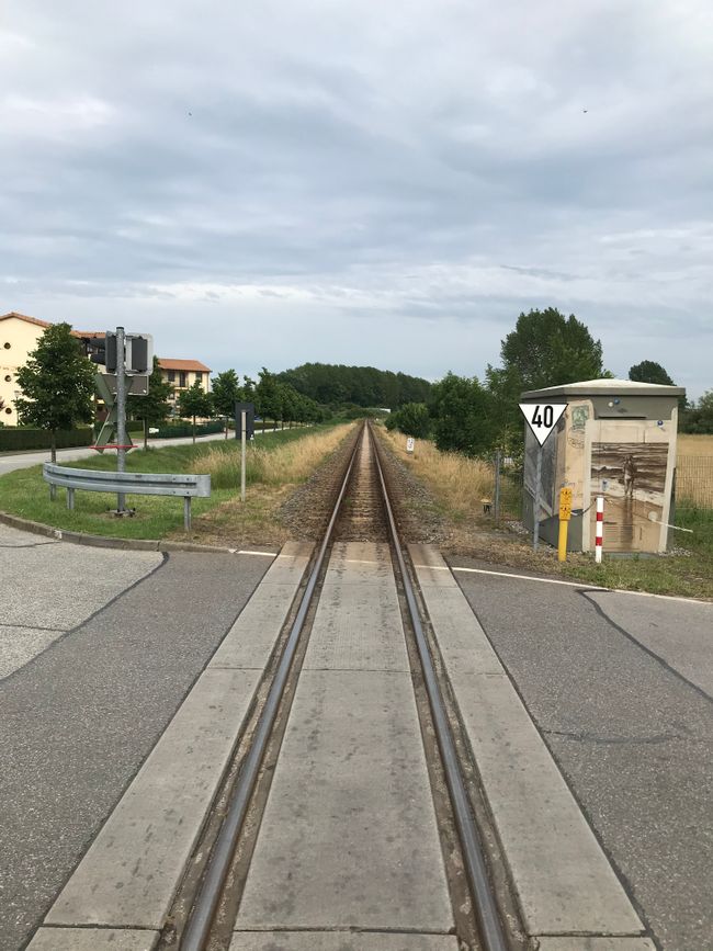 Molli's railway tracks