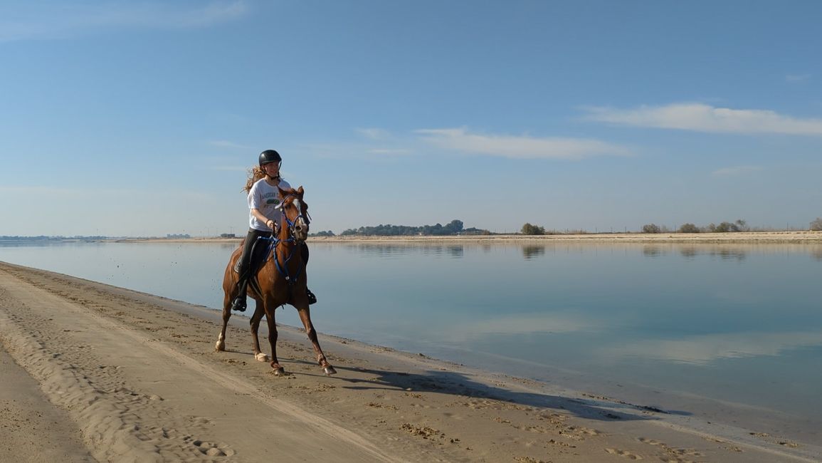 Tag 15 (2023) Abu Dhabi: Ausritt am Strand, Baden am Soul Beach & IFTAR im "W"