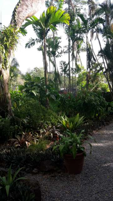 Sleeping Giant Botanical Garden