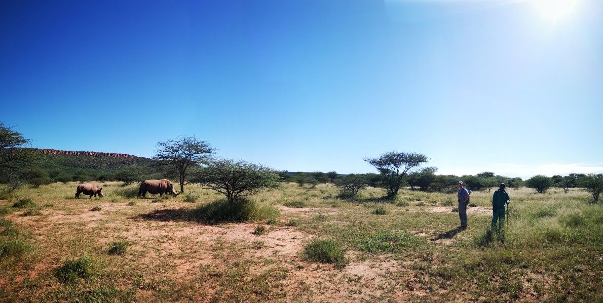 Rhino-Trekking