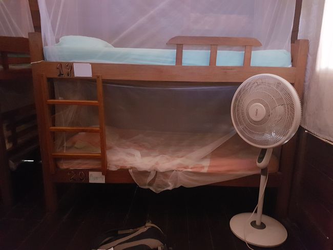 Mein Bett im Prima Luna Hostel