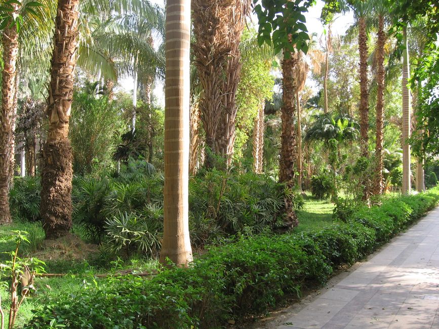 Nilkreuzfahrt Ägypten - Teil 6 botanischer Garten, Obelisk und zurück nach Luxor