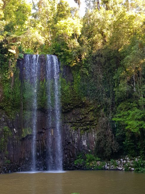 Cairns: Regenwald und Wasserfälle