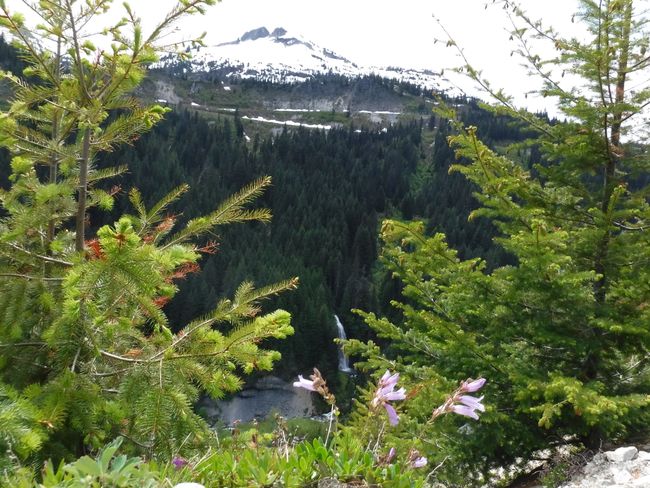 Mt. Rainier ukat juk’ampinaka