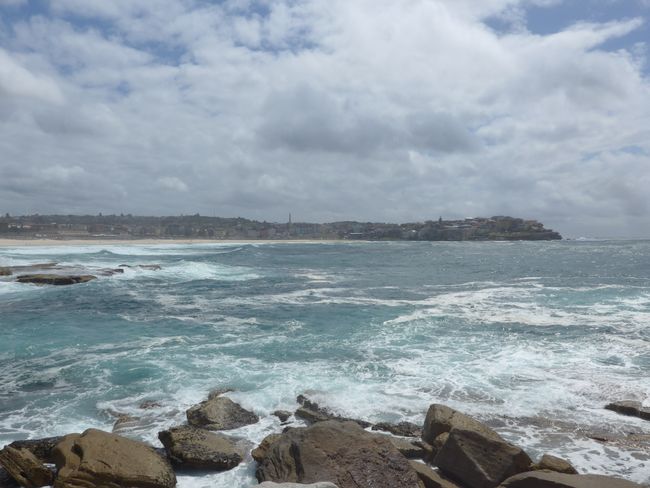 Sydney Day 4 - Bondi Beach, The Rocks, and Flashing Christmas Trees (Australia Part 32)