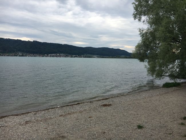 Lake Constance (Ludwigshafen)