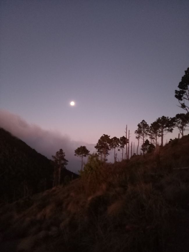 Night hike, campfire, camping, earthquakes and volcanic eruptions