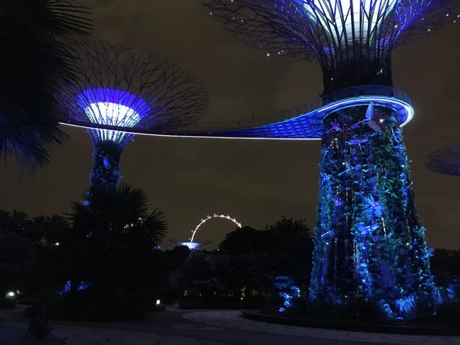 Singapur - Gardens by the bay
