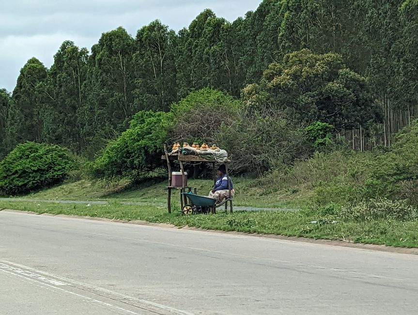 Hluhluwe-Nationalpark, iSimangaliso-Nationalpark und St. Lucia