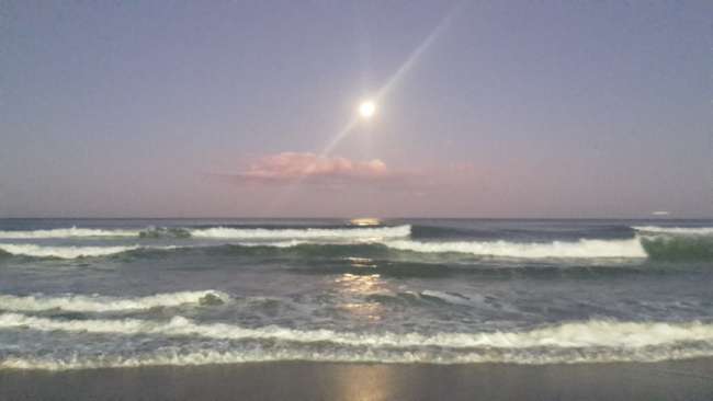 Moonrise Surfers