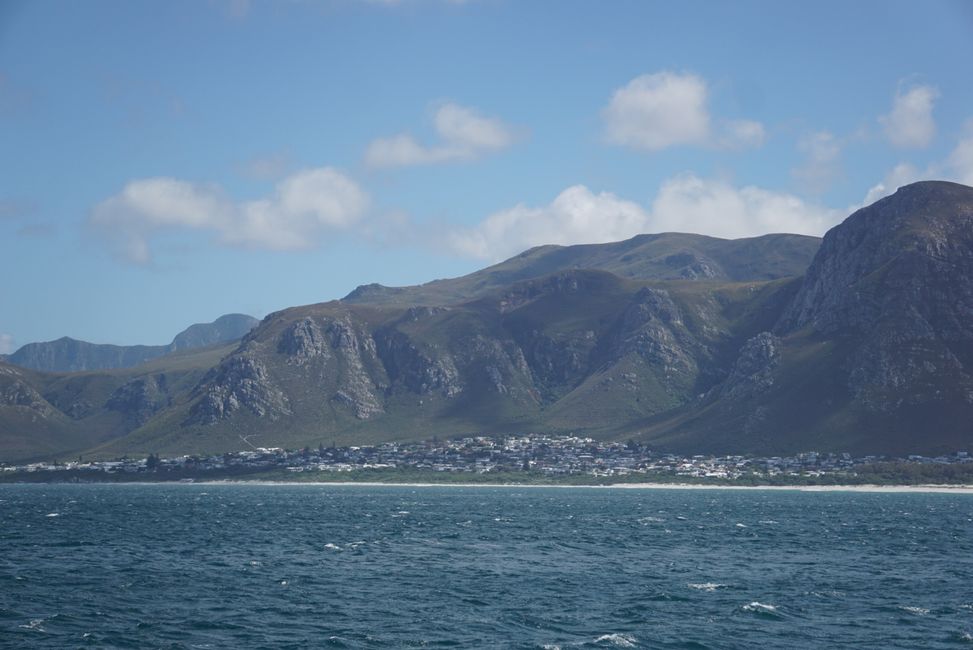 Hermanus ♥️