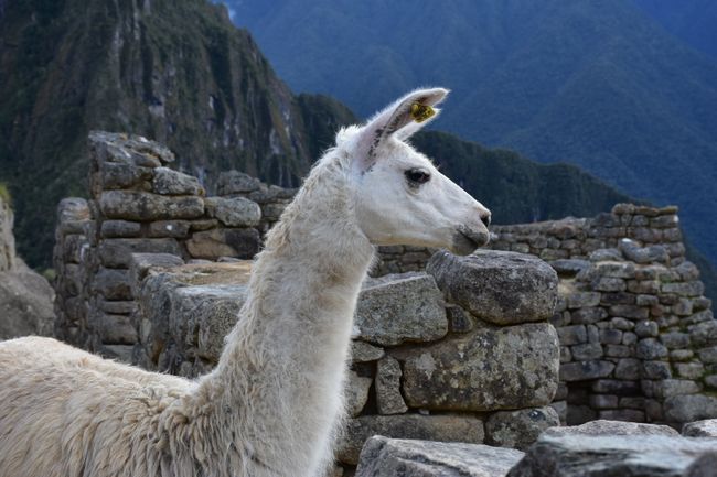 Ollantaytambo kunye neMachu Picchu