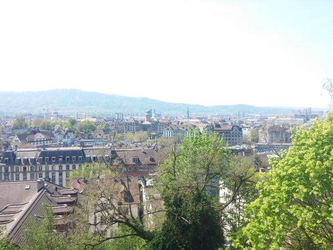 Blick über Zürich (2)
