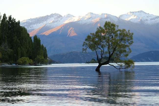 From Wanaka to Queenstown