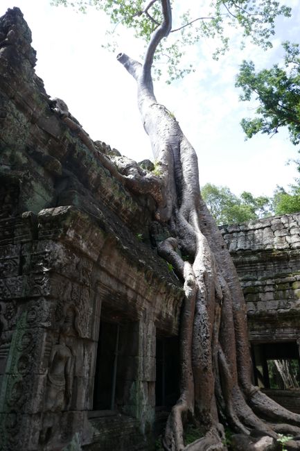 Siem Reap and the 'Angkor What?' - plus the conclusion about Cambodia