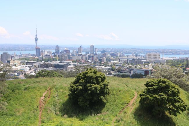 Wenn Auckland suddenly doesn't look so ugly anymore