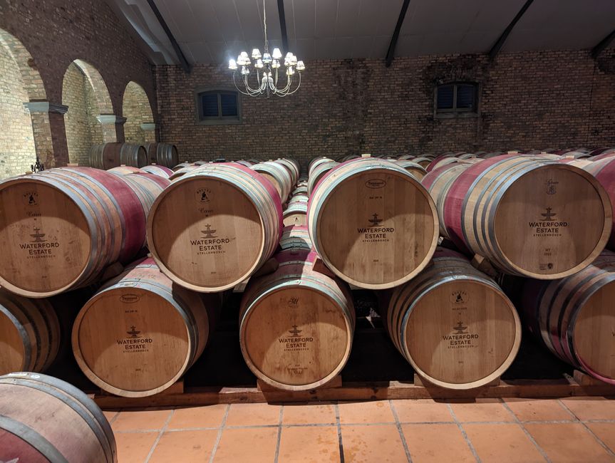 Weintasting's in Stellenbosch