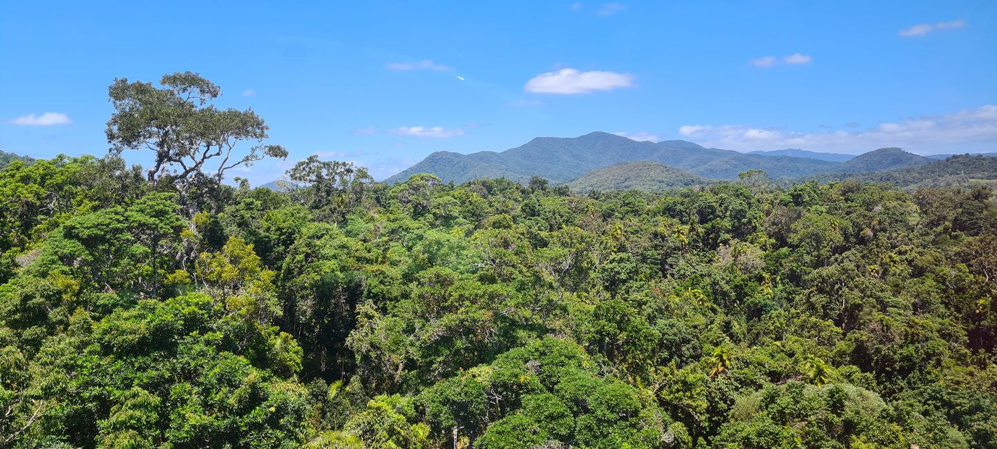 Day 14/15 - Kuranda