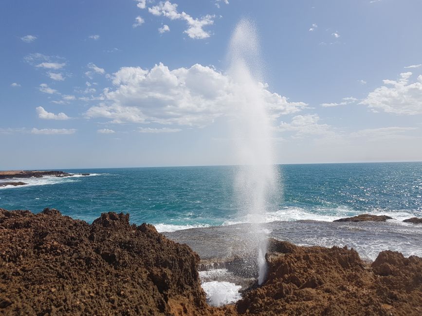 A blowhole (named after the spouts whales make) in action
