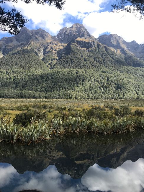 Milford Sound