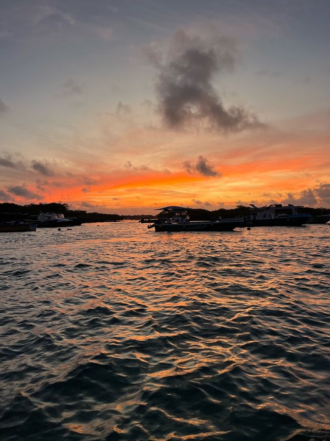 Isabela Island - Galapagos