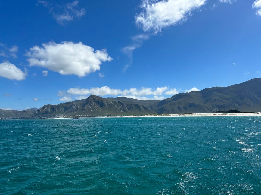 Hermanus ♥️