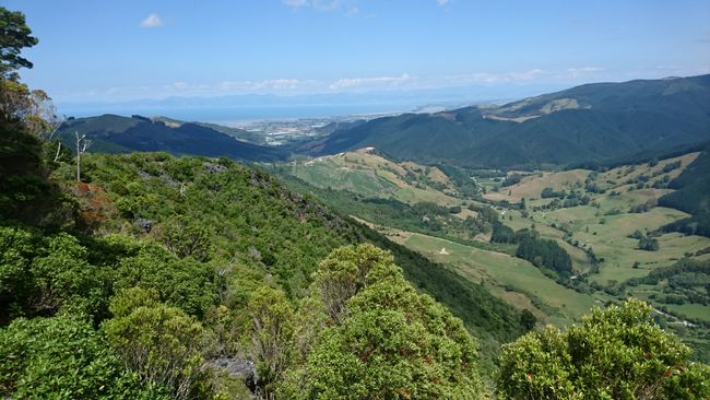Hawkes Lookout